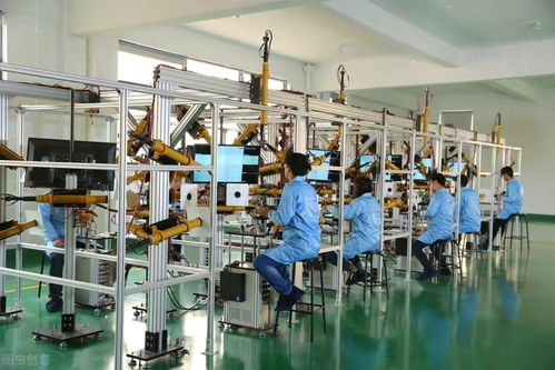 暑假工的警示 我在技术开发岗位的惊险三个月