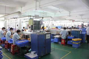 加工厂的发展历史与技术开发